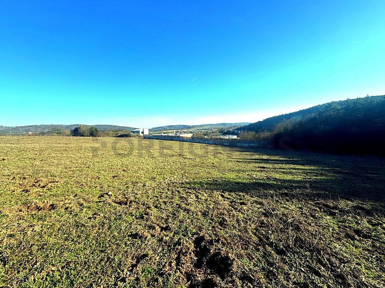 Prodej podílu 1/4 stavebního pozemku 6 811 m² - foto 4
