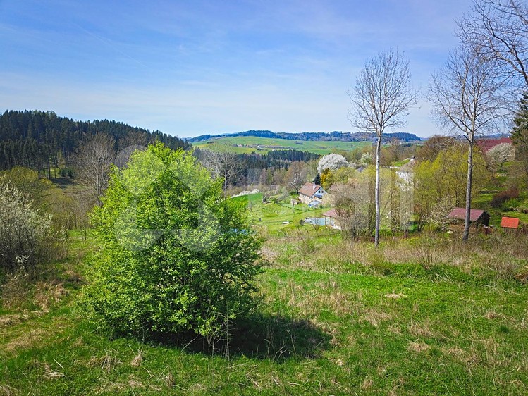 Prodej  stavebního pozemku 10 000 m² - foto 8