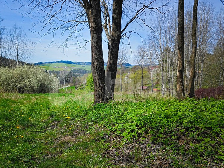 Prodej  stavebního pozemku 10 000 m² - foto 7
