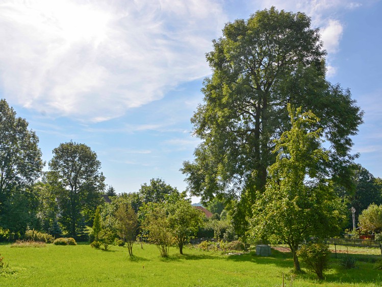 Prodej stavebního pozemku 2 291 m² - foto 2