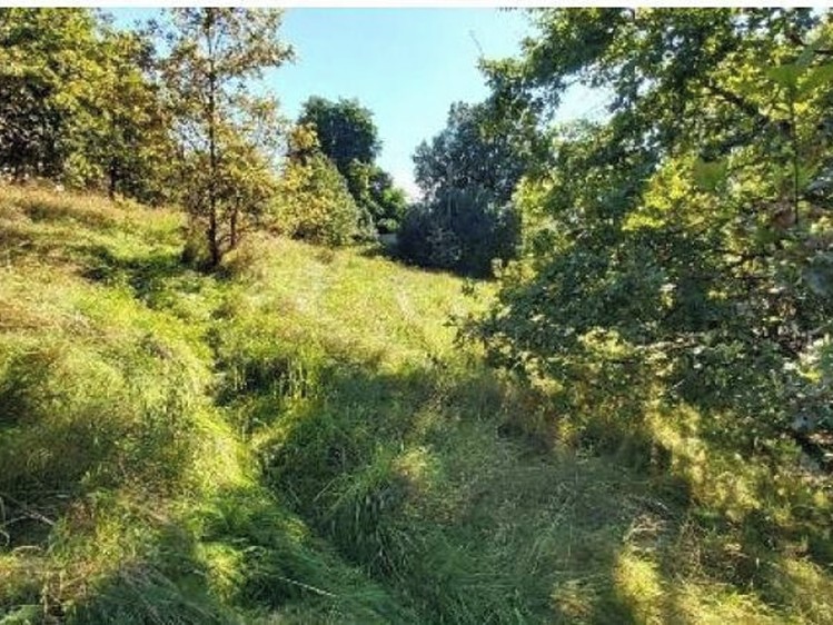 Dražba stavebního pozemku 3 577 m² - foto 4