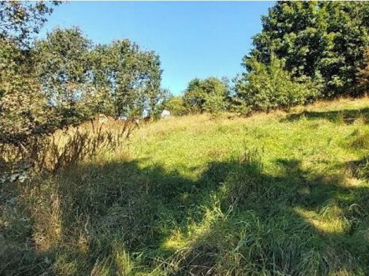 Dražba stavebního pozemku 3 577 m² - foto 3