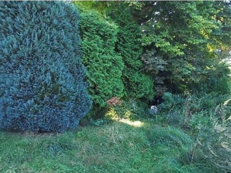 Dražba stavebního pozemku 3 577 m² - foto 6