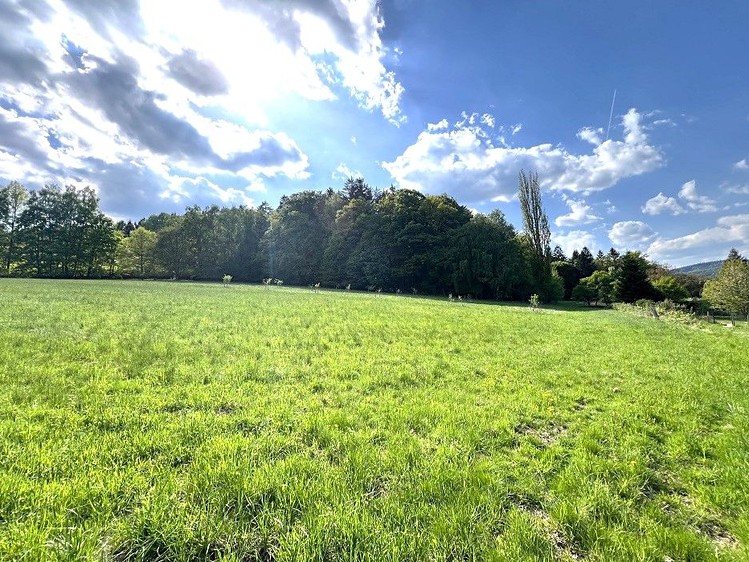 Prodej stavebního pozemku 3 990 m² - foto 5
