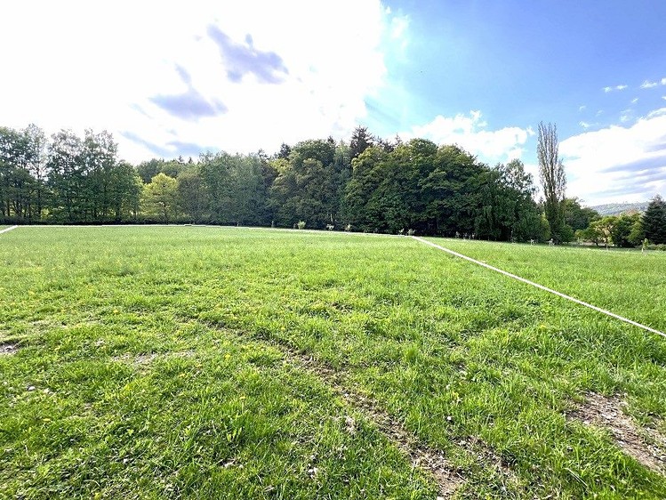 Prodej stavebního pozemku 3 990 m² - foto 8