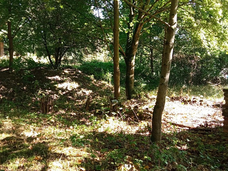 Prodej stavebního pozemku 4 000 m² - foto 2