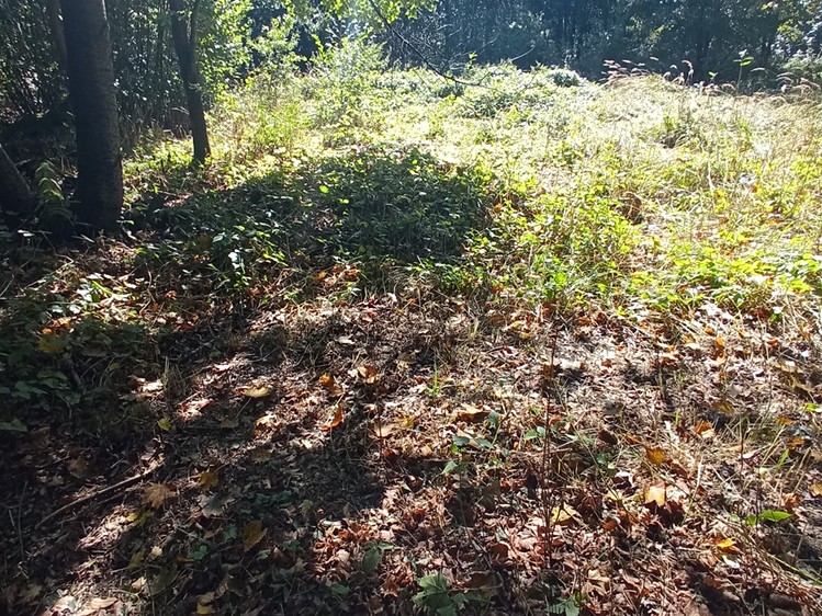 Prodej stavebního pozemku 4 000 m² - foto 3