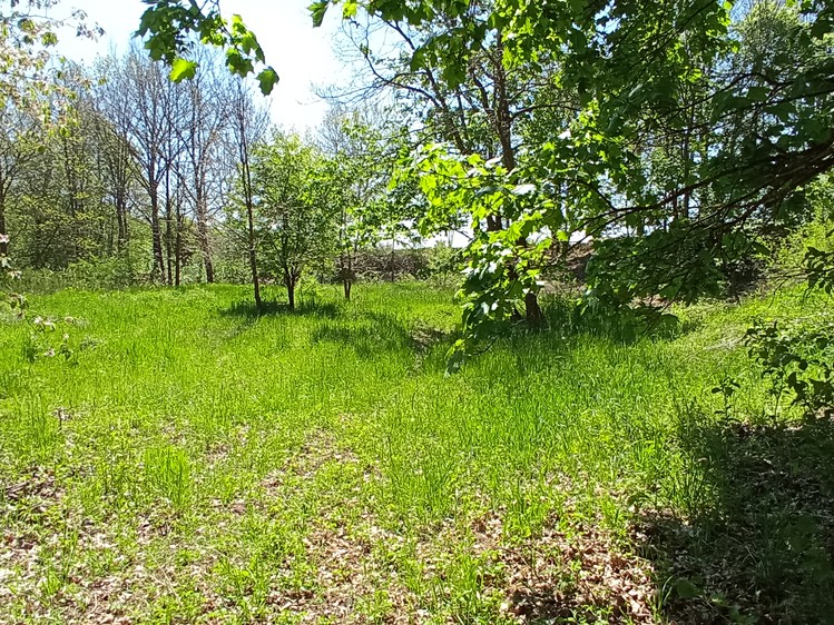 Prodej stavebního pozemku 4 000 m² - foto 8