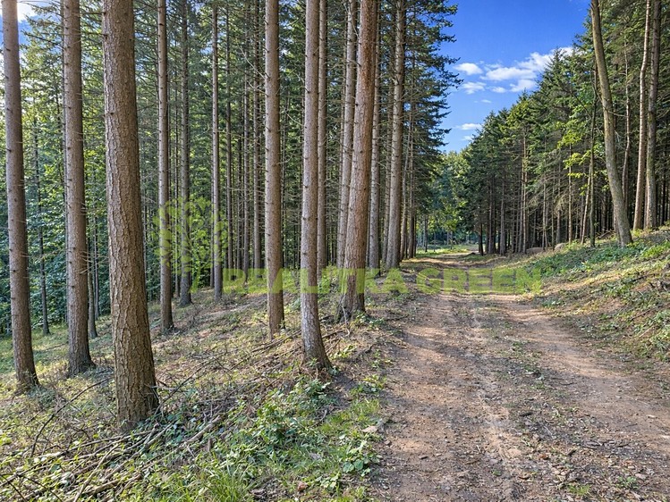 Prodej lesa 179 312 m² - foto 1