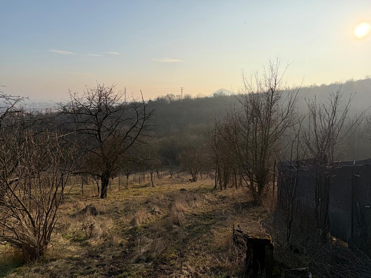 Prodej zahrady 1 409 m² - foto 4