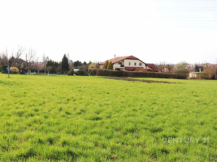 Prodej stavebního pozemku 5 530 m² - foto 7