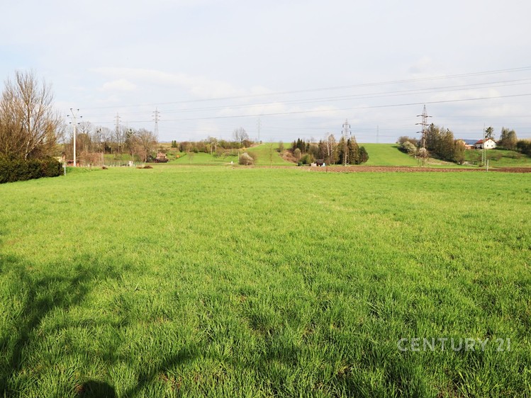 Prodej stavebního pozemku 1 943 m² - foto 8