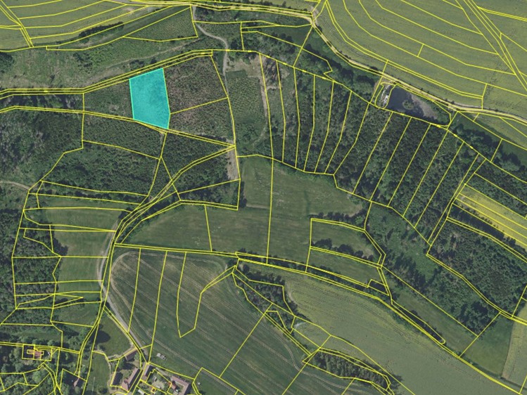 Prodej lesa 4 064 m² - foto 4