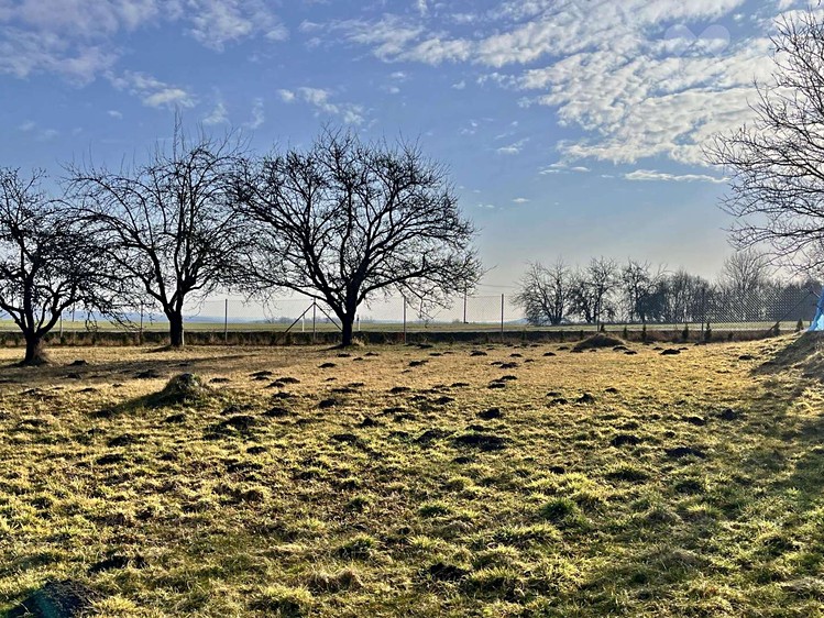 Prodej stavebního pozemku 1 278 m² - foto 7