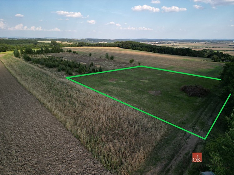 Prodej stavebního pozemku 3 000 m² - foto 5