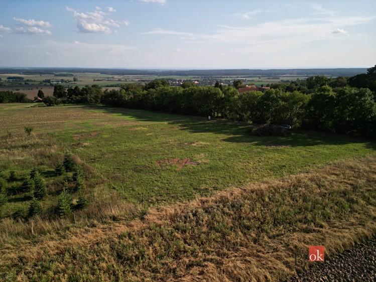 Prodej stavebního pozemku 3 000 m² - foto 7