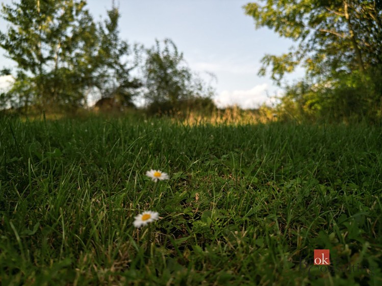 Prodej stavebního pozemku 3 000 m² - foto 8