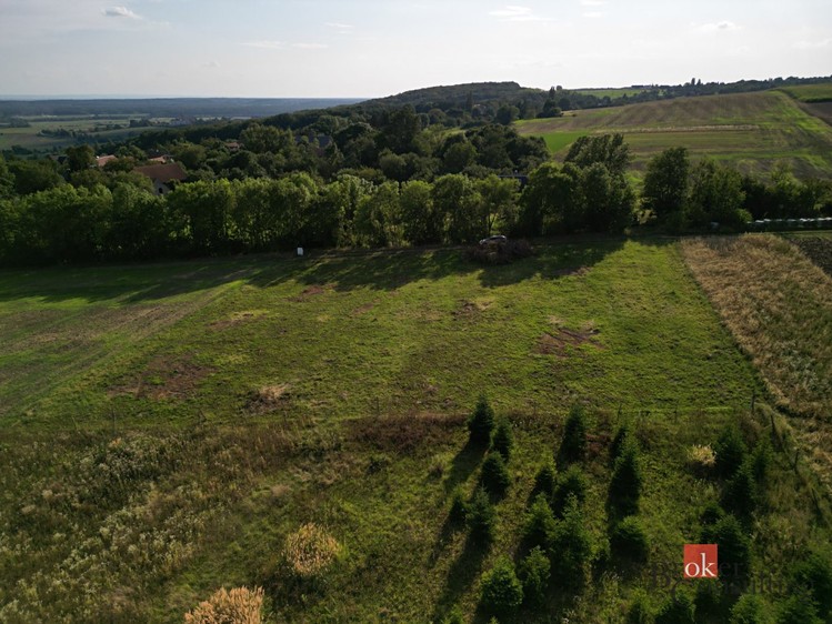 Prodej stavebního pozemku 3 000 m² - foto 6