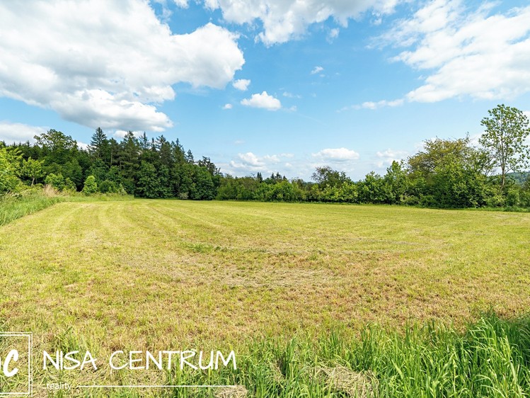 Prodej stavebního pozemku 3 984 m² - foto 4