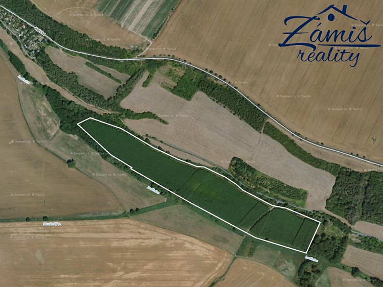 Prodej sadu, vinice 43 712 m² - foto 4