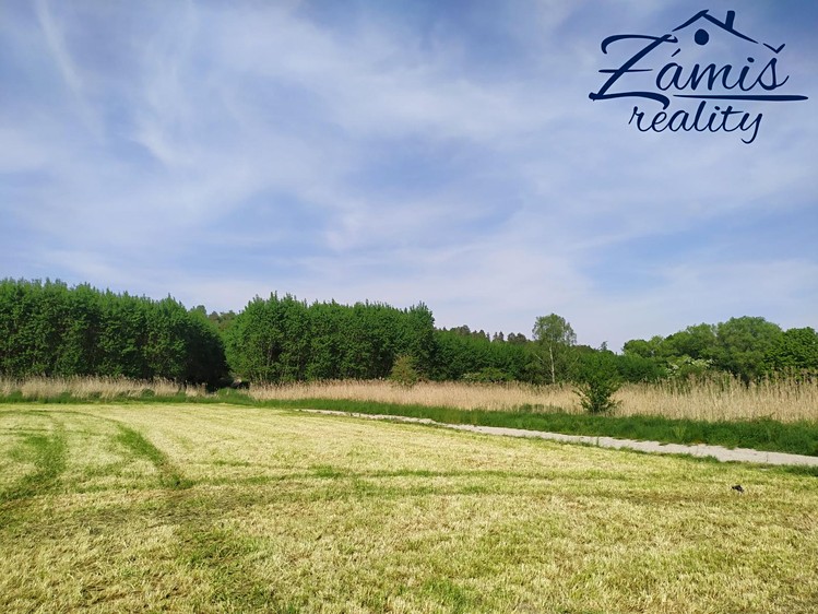 Prodej sadu, vinice 43 712 m² - foto 8