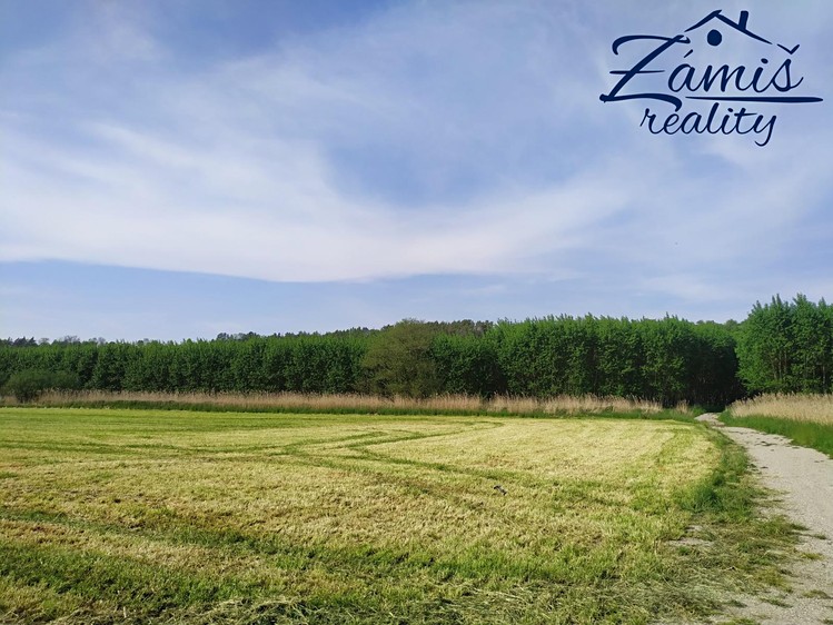 Prodej sadu, vinice 43 712 m² - foto 6