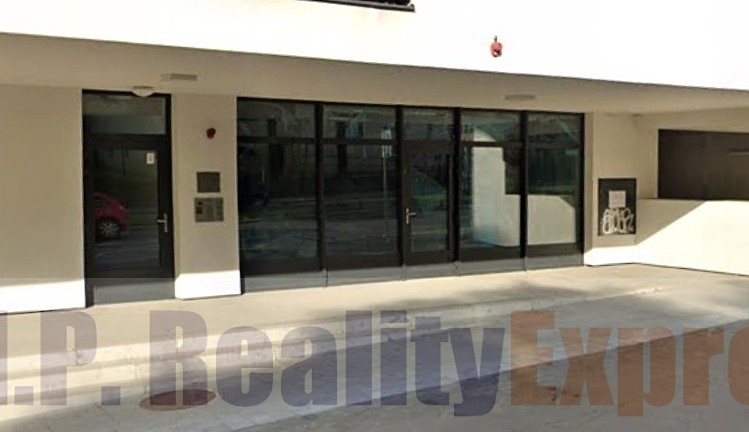 Prodej obchodního prostoru 173 m² - foto 3
