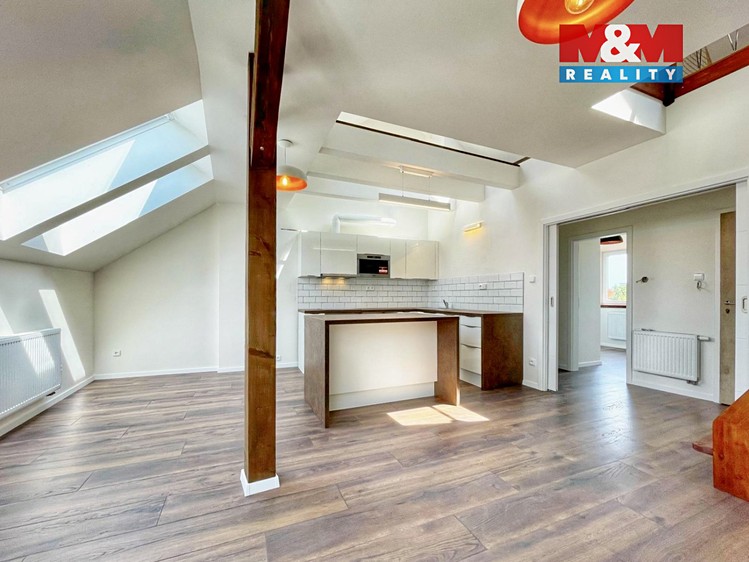Prodej činžovního domu 246 m² - foto 4
