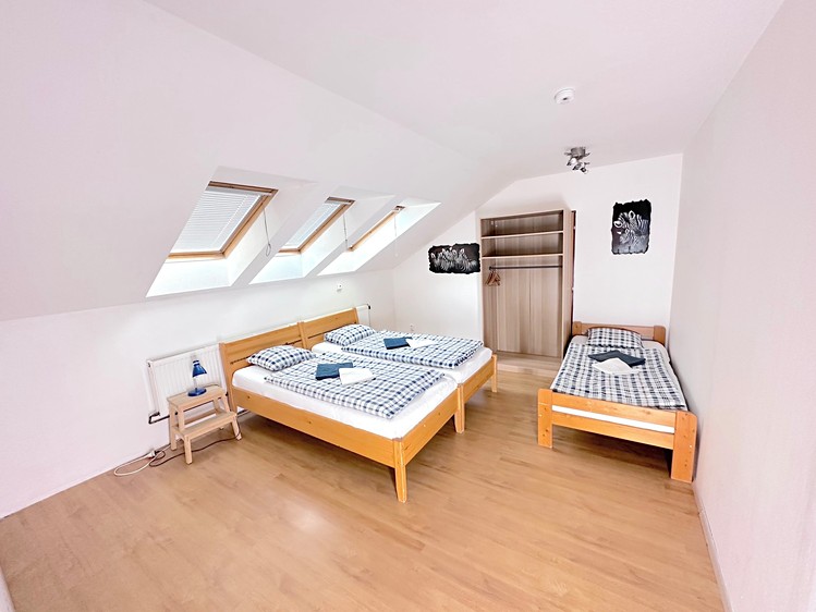 Prodej ubytovacího zařízení 330 m² - foto 6