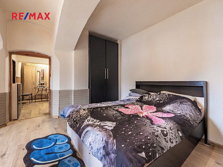 Prodej činžovního domu 175 m² - foto 8