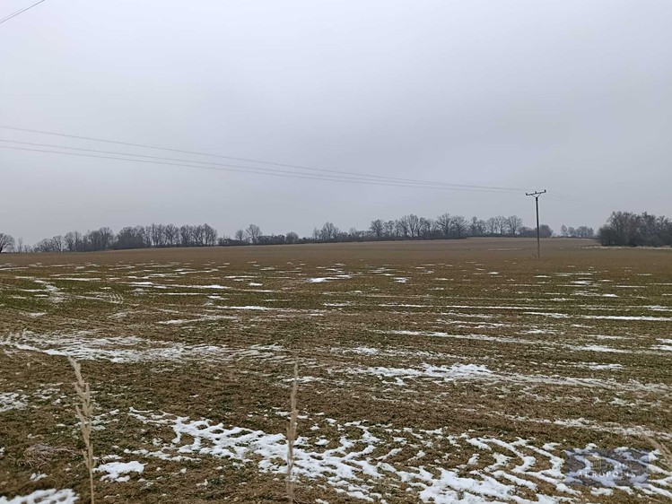 Prodej zemědělského objektu 2 020 000 m² - foto 8