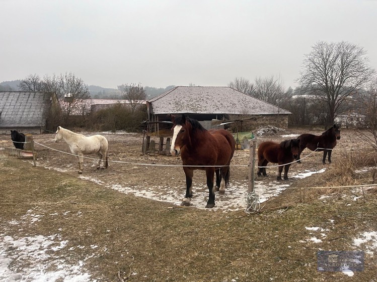 Prodej zemědělského objektu 2 020 000 m² - foto 5