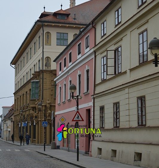 Prodej obchodního prostoru 1 563 m² - foto 3