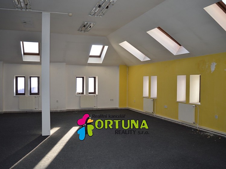 Prodej obchodního prostoru 1 563 m² - foto 5