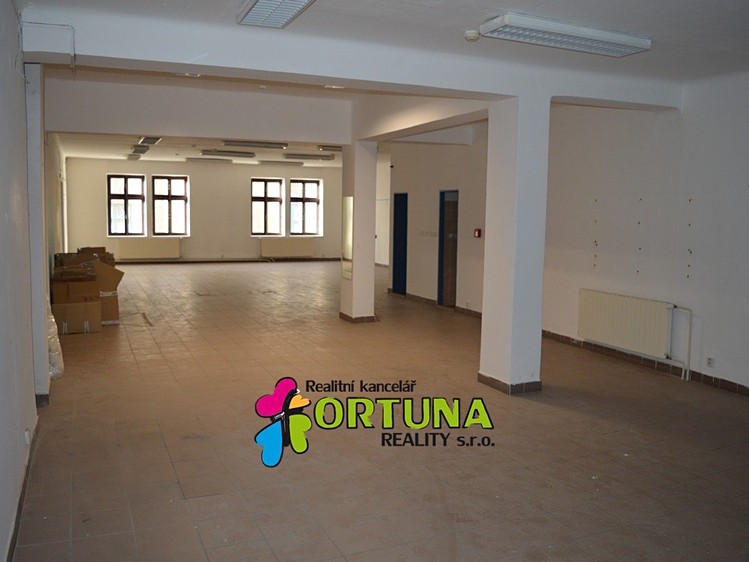 Prodej obchodního prostoru 1 563 m² - foto 8