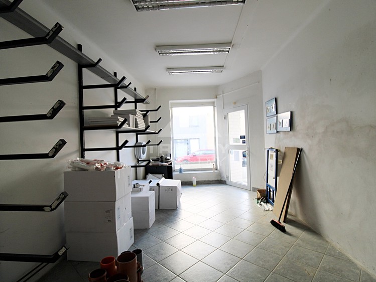 Prodej obchodního prostoru 450 m² - foto 4