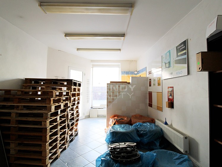 Prodej obchodního prostoru 450 m² - foto 7
