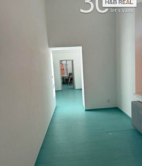Prodej obchodního prostoru 200 m² - foto 8