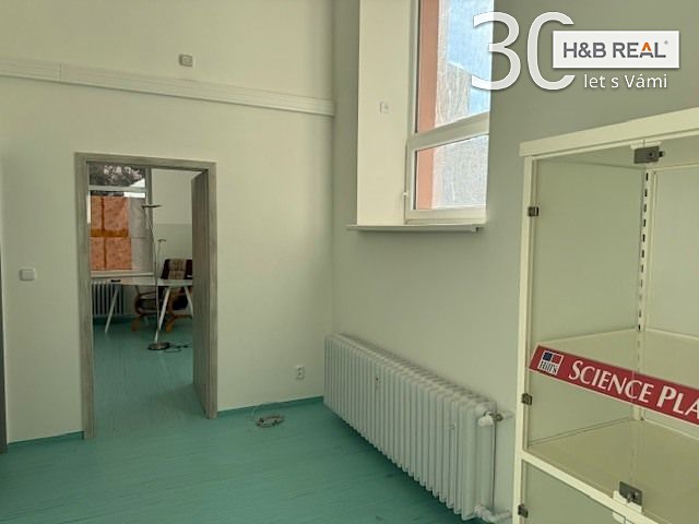 Prodej obchodního prostoru 200 m² - foto 7