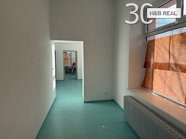Prodej obchodního prostoru 200 m² - foto 6