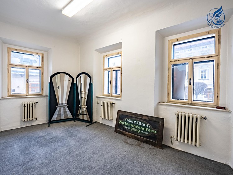 Prodej obchodního prostoru 288 m² - foto 4