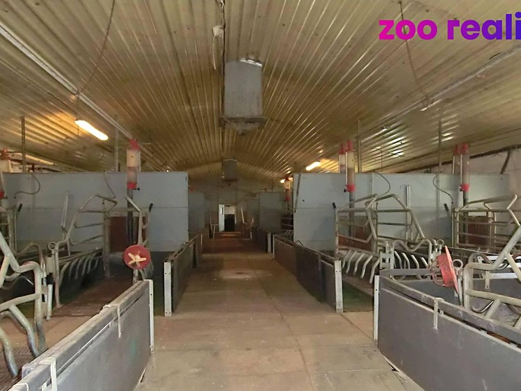 Prodej zemědělského objektu 2 205 m² - foto 8