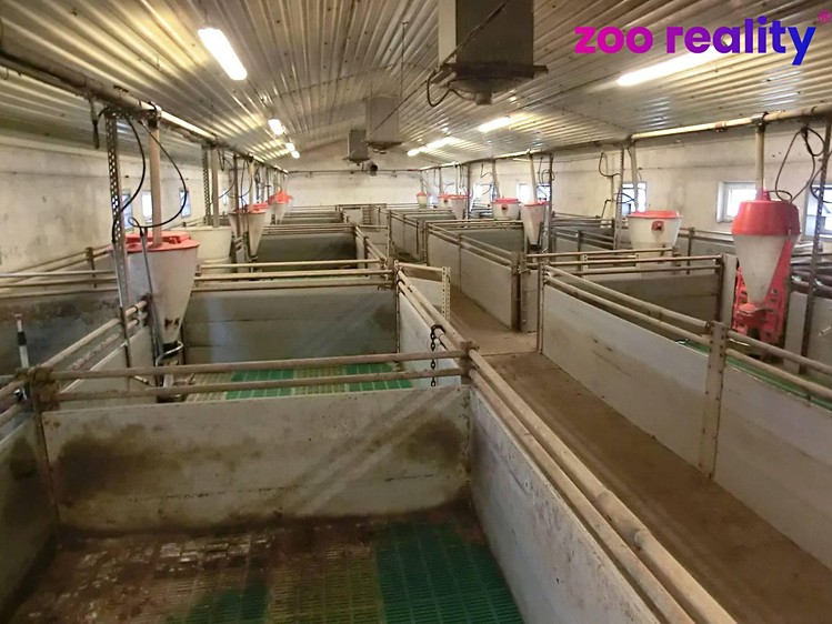 Prodej zemědělského objektu 2 205 m² - foto 7