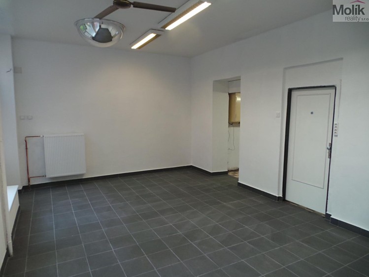 Prodej obchodního prostoru 55 m² - foto 4