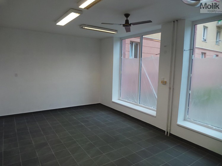Prodej obchodního prostoru 55 m² - foto 3