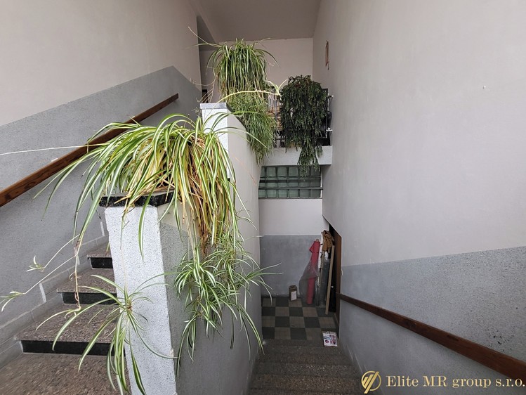 Prodej obchodního prostoru 700 m² - foto 3
