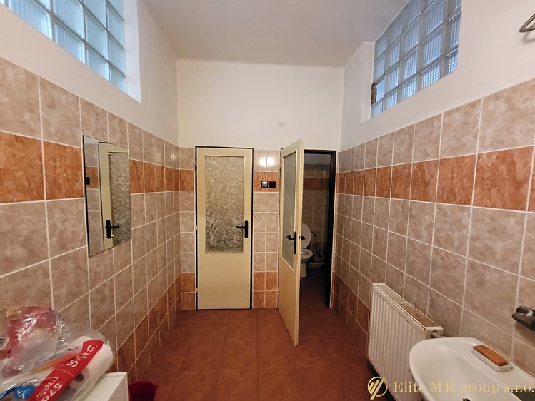Prodej obchodního prostoru 700 m² - foto 6