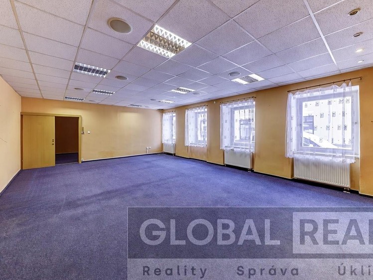 Prodej obchodního prostoru 401 m² - foto 2