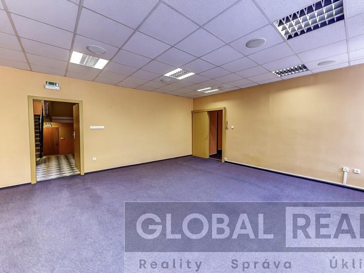 Prodej obchodního prostoru 401 m² - foto 4