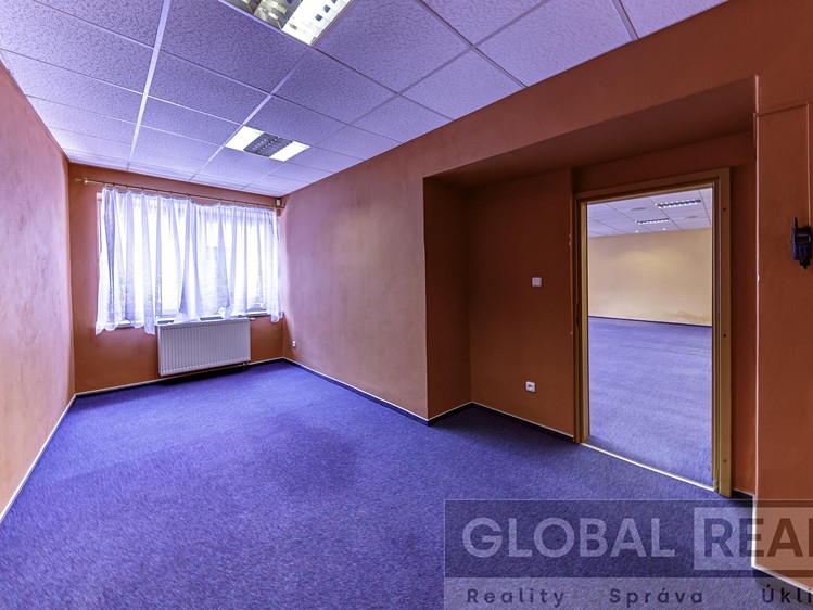 Prodej obchodního prostoru 401 m² - foto 5
